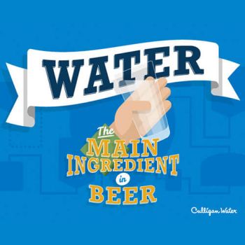 Water: The Main Ingredient in Beer